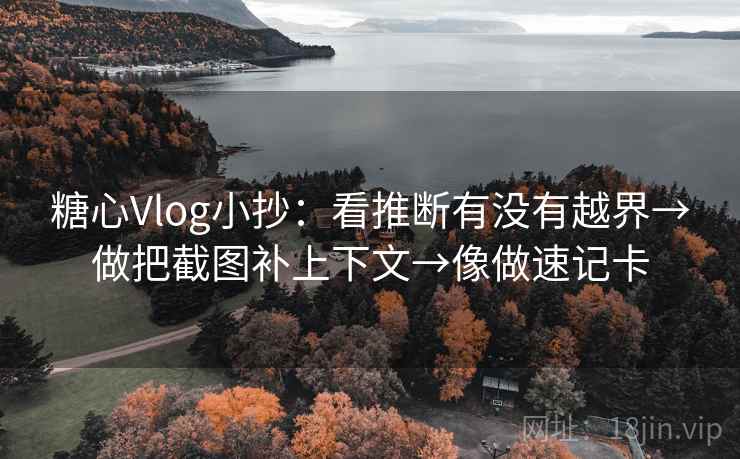 糖心Vlog小抄：看推断有没有越界→做把截图补上下文→像做速记卡